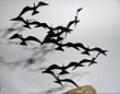 Bijan Metal Seagull Sculpture