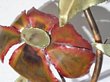 Jere style Welded Art Flower
