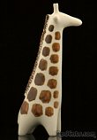 Arabia Giraffe