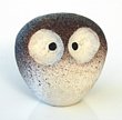 Unknown Owl #1