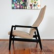 Dux Lounge Chair Pair and Ottoman