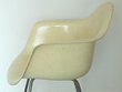 Eames - DAX Zenith Rope Edge Shell Chair