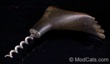 Carl Aubock Foot Corkscrew