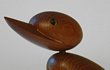 Teak Duck Family